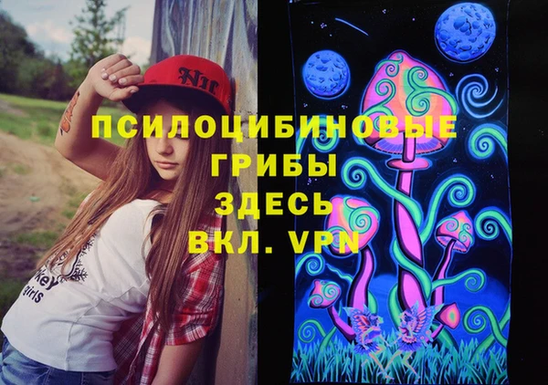 амф Алексеевка