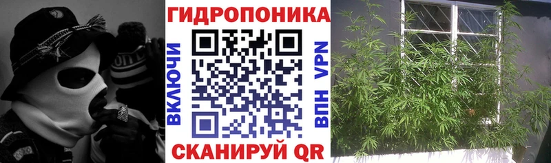 Марихуана гибрид  Грязи 